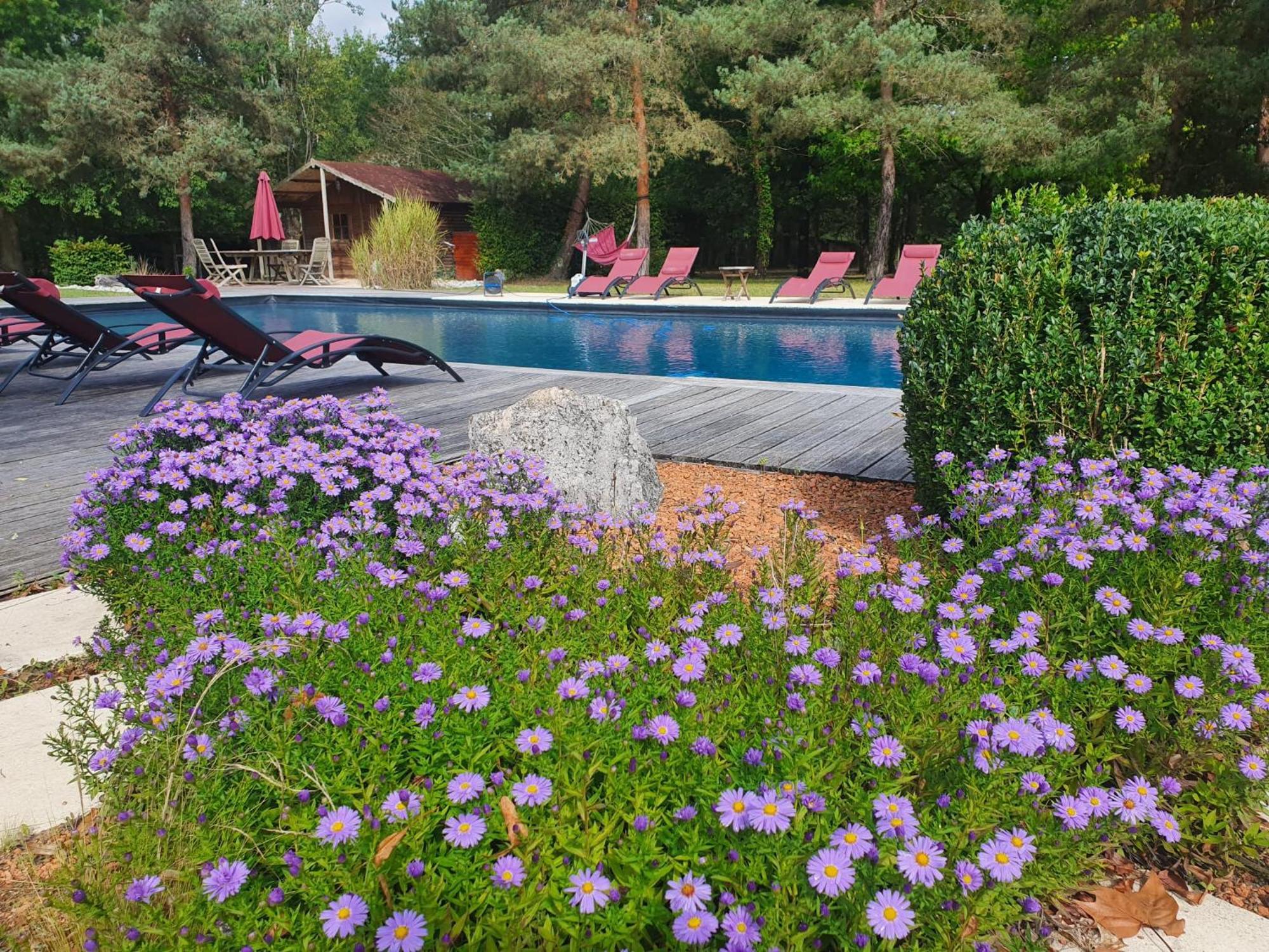 Domaine De Grand-Pas Villa Vernou-en-Sologne Ngoại thất bức ảnh